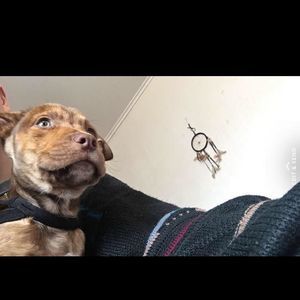 Meet your Posher, Caleb